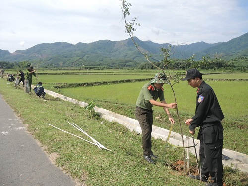 Huyện Đoàn: Phối hợp trồng cây bàng Đài Loan, tại xã Thanh An