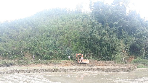 Nông dân Minh Long nỗ lực khắc phục diện tích ruộng sa bồi thủy phá