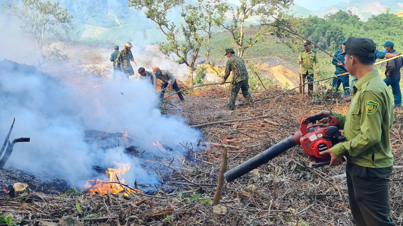 Minh Long: Tăng cường các biện pháp quản lý rừng, bảo vệ rừng, quản lý lâm sản và phòng cháy, chữa cháy rừng trên địa bàn huyện