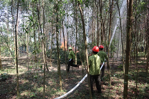 Diễn tập phòng cháy, chữa cháy rừng xã Long Mai năm 2022.