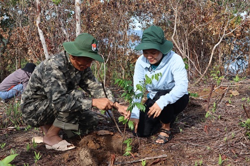 Huyện Minh Long ra quân trồng cây gỗ lớn