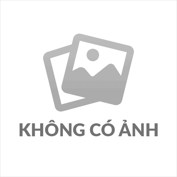 Chương trình ngày 24/2/2025